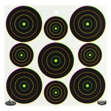 Birchwood Casey Dirty Bird, Target, 12