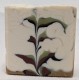Essence of Aloe Desert Thistle Unscented Soap
