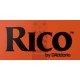 Rico